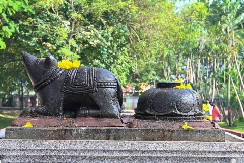 vinayagar pooja celebration