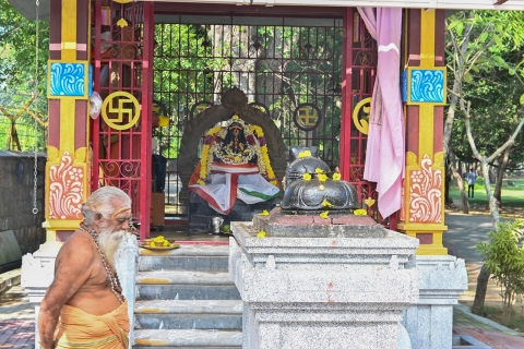 vinayagar pooja celebration